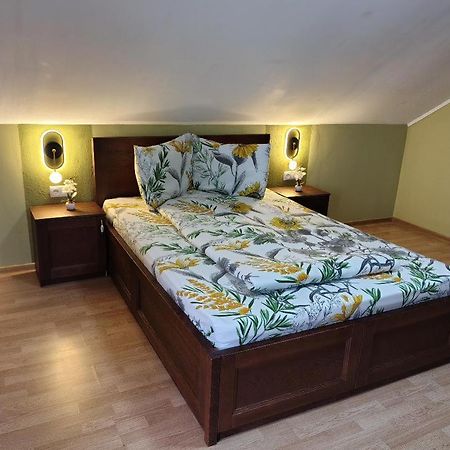 Vis Pension Viile Satu Mare 외부 사진