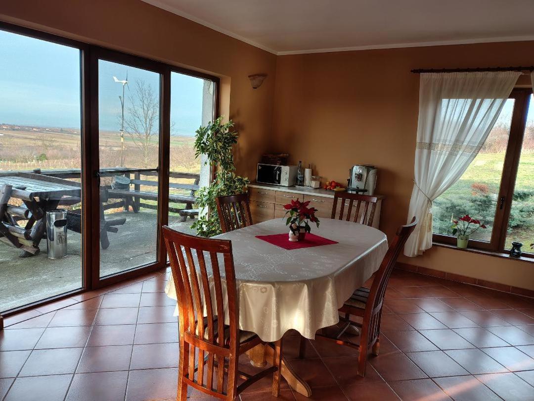 Vis Pension Viile Satu Mare 외부 사진