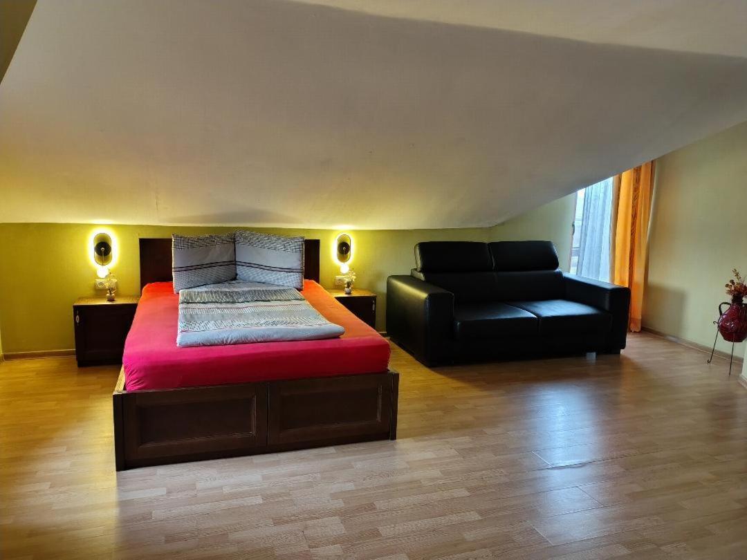 Vis Pension Viile Satu Mare 외부 사진