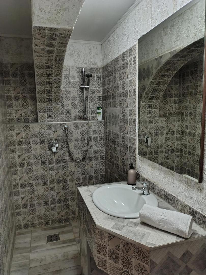Vis Pension Viile Satu Mare 외부 사진