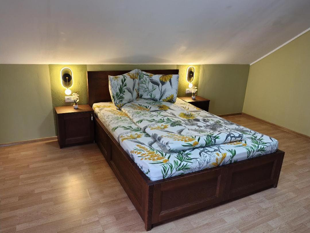 Vis Pension Viile Satu Mare 외부 사진