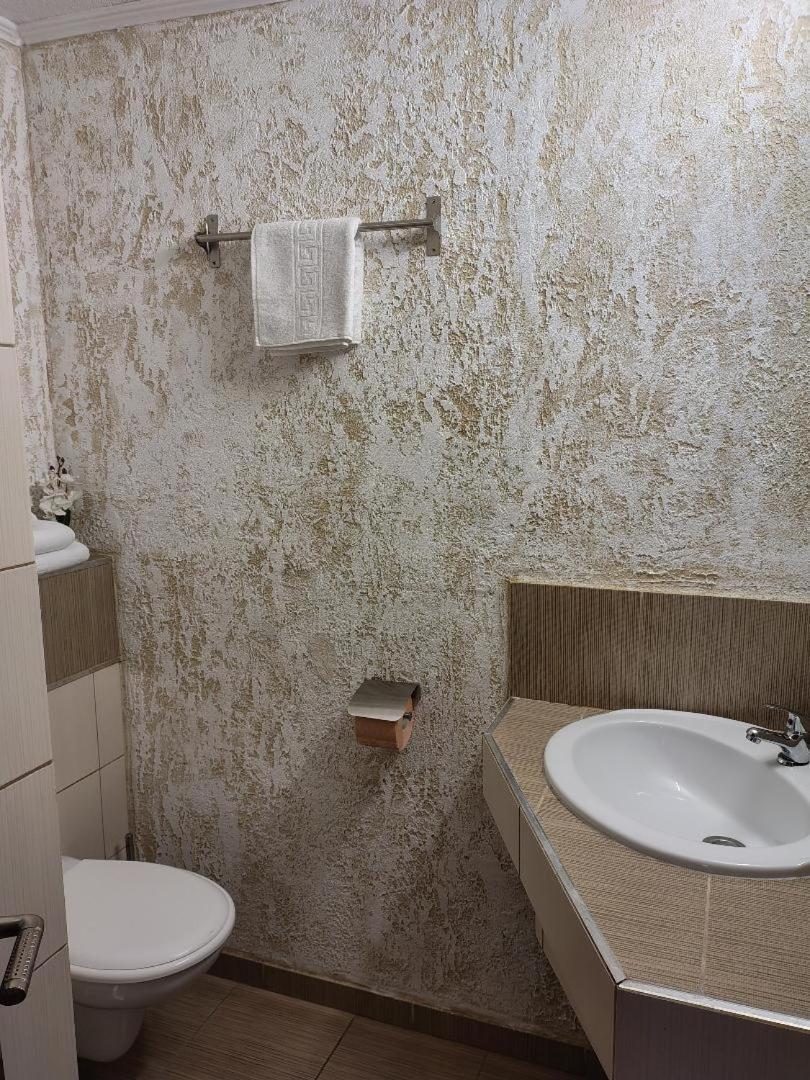 Vis Pension Viile Satu Mare 외부 사진