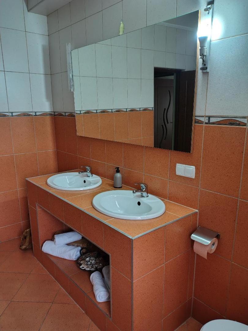 Vis Pension Viile Satu Mare 외부 사진