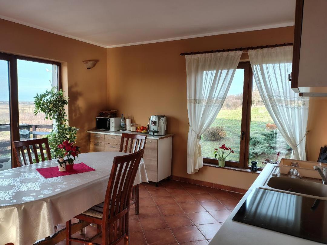 Vis Pension Viile Satu Mare 외부 사진