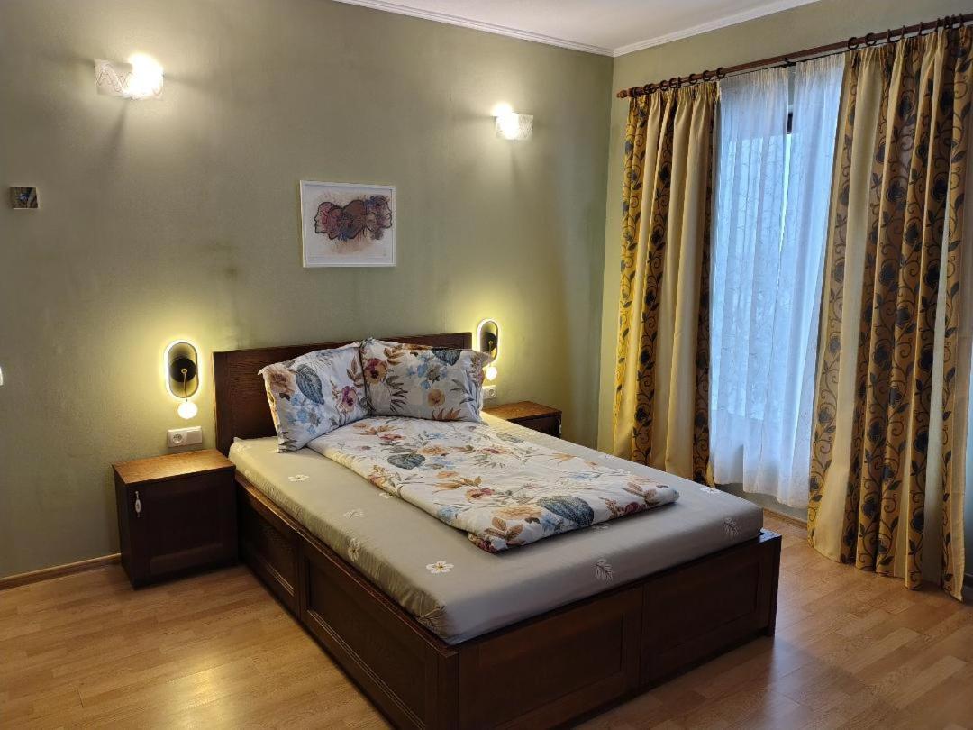Vis Pension Viile Satu Mare 외부 사진
