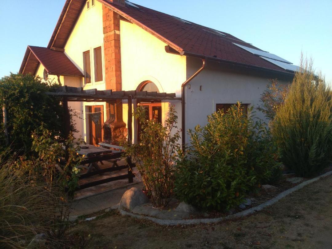 Vis Pension Viile Satu Mare 외부 사진