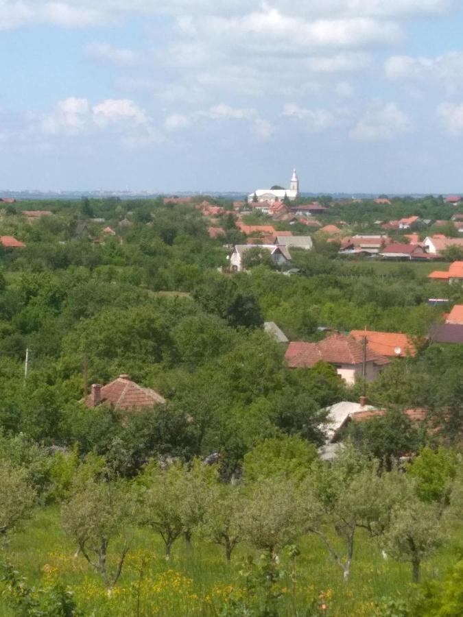 Vis Pension Viile Satu Mare 외부 사진