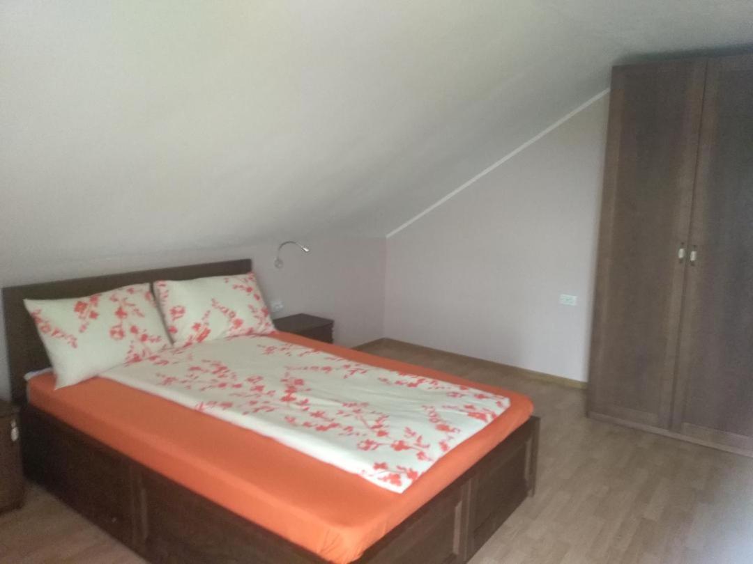 Vis Pension Viile Satu Mare 외부 사진