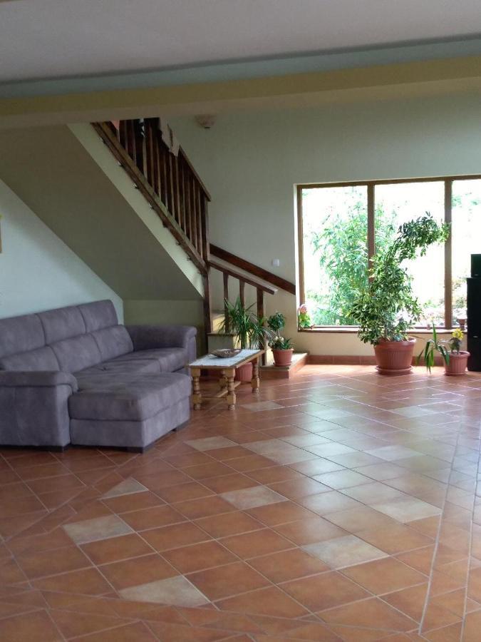 Vis Pension Viile Satu Mare 외부 사진
