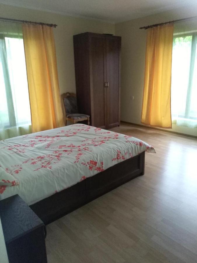 Vis Pension Viile Satu Mare 외부 사진