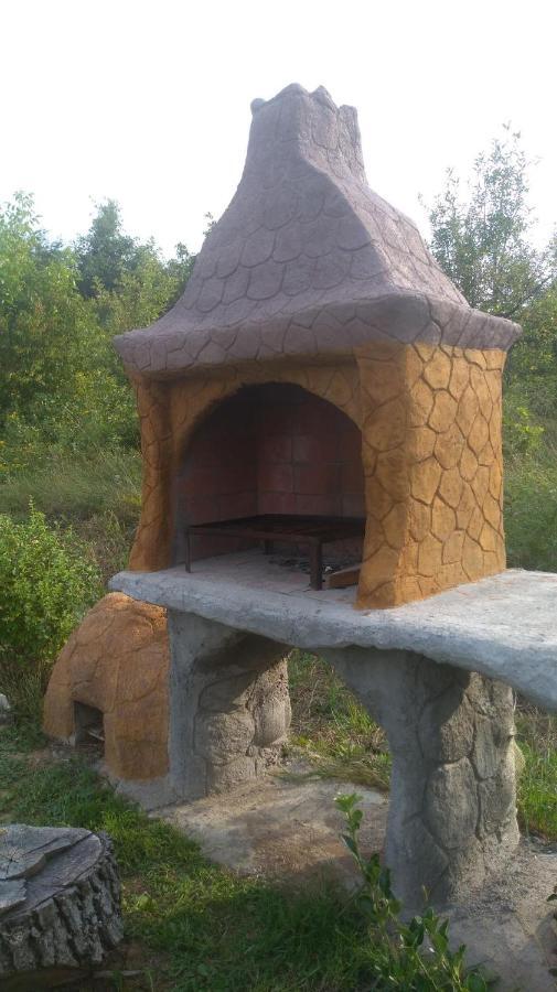 Vis Pension Viile Satu Mare 외부 사진