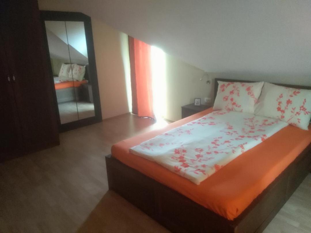 Vis Pension Viile Satu Mare 외부 사진