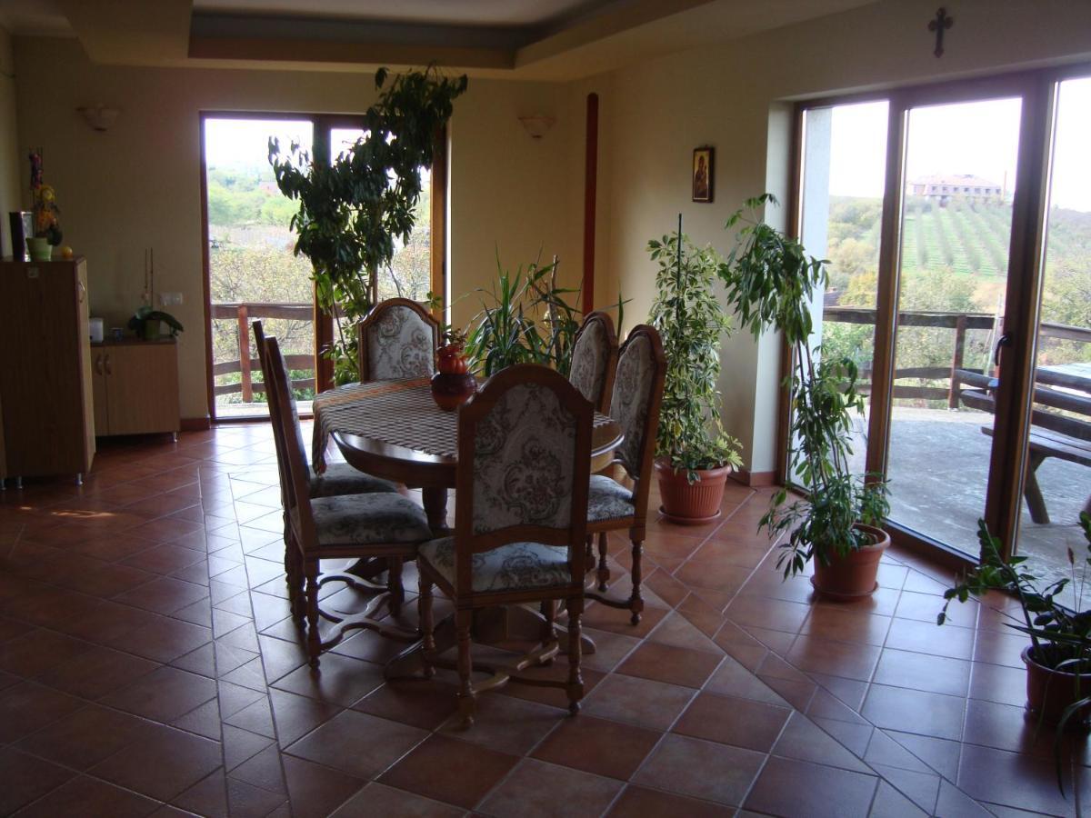Vis Pension Viile Satu Mare 외부 사진